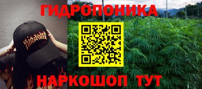 ALPHA PVP Кунгур