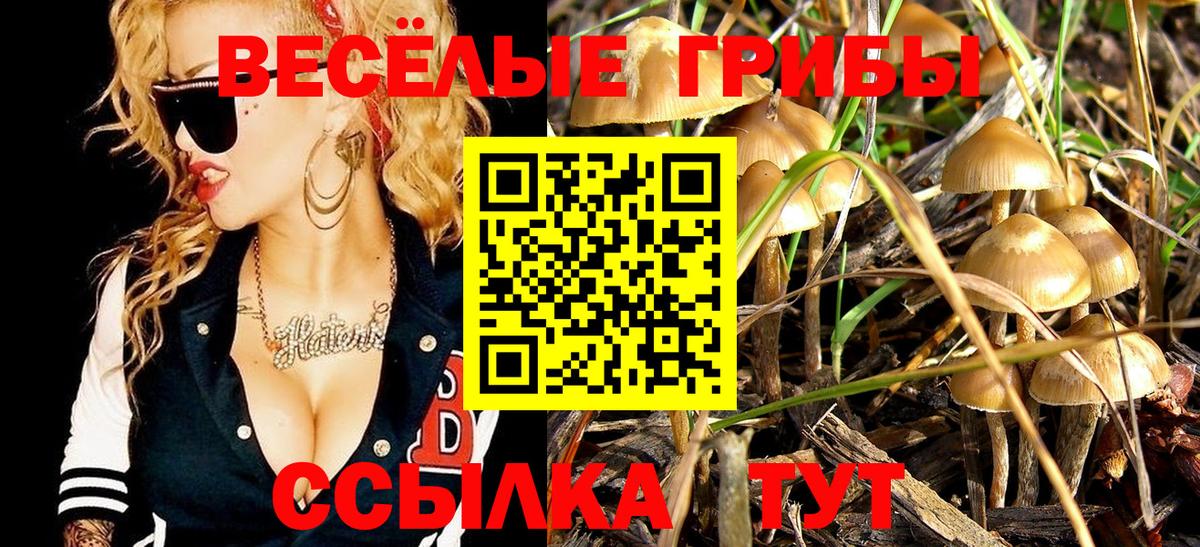Псилоцибиновые грибы мухоморы Кудрово
